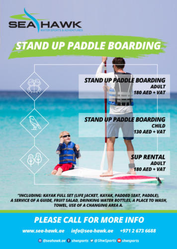 paddle